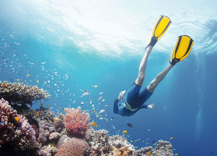 4-Day Fantastic Safari and Snorkeling in Zanzibar